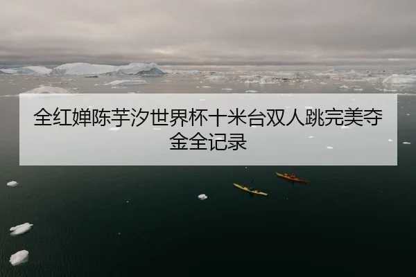 全红婵陈芋汐世界杯十米台双人跳完美夺金全记录